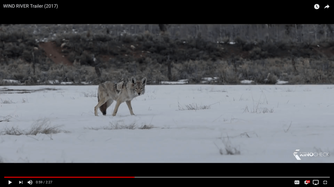 Screen Shot 2018-09-11 at 11.43.57.png